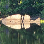 stand alone fish rock