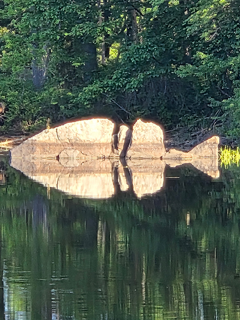 stand alone fish rock
